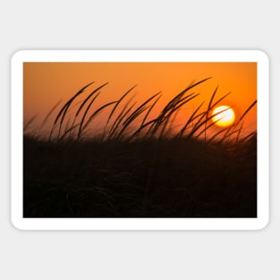 setting sun Sticker